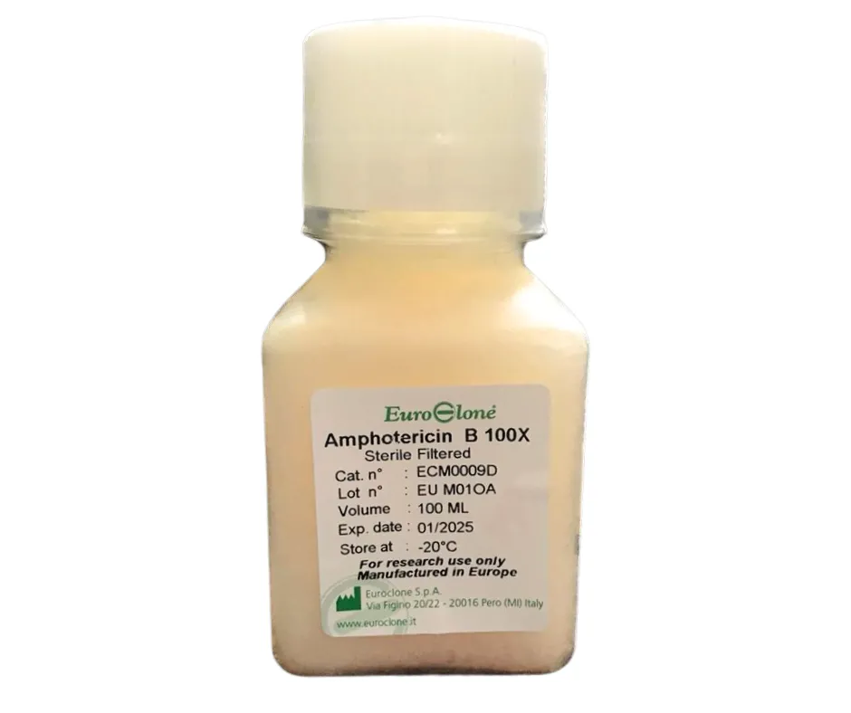 Amphotericin B (Fungizone)